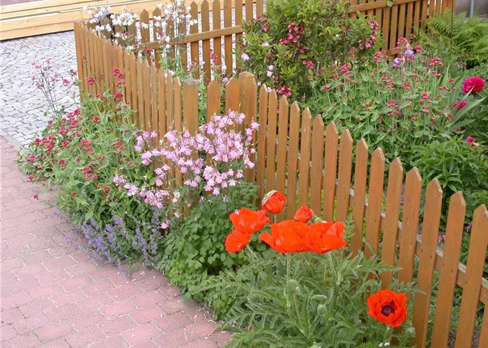 Schick eingerahmt - Die große Vielfalt der Gartenzäune